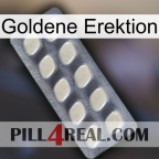 Golden Erection 08